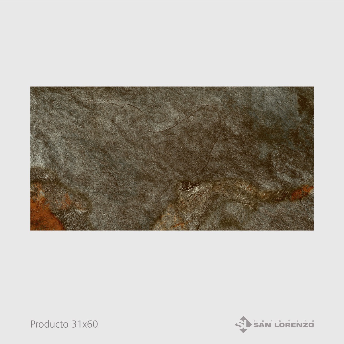 Laja Multicolor 31x60 (Caja)1.68m2